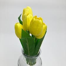 5-agu-citromsarga-tulipan