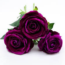 Bársony tapintású lila-bordó rózsa 50cm