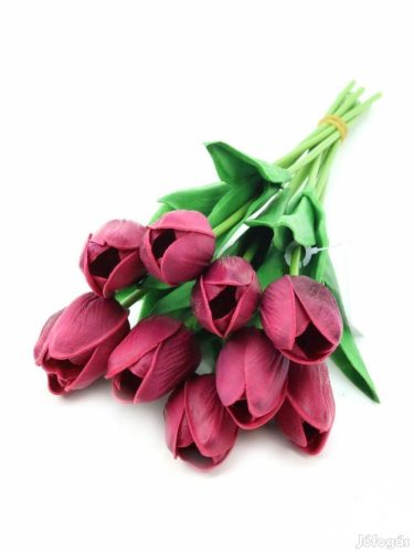 Bíbor gumi tulipán