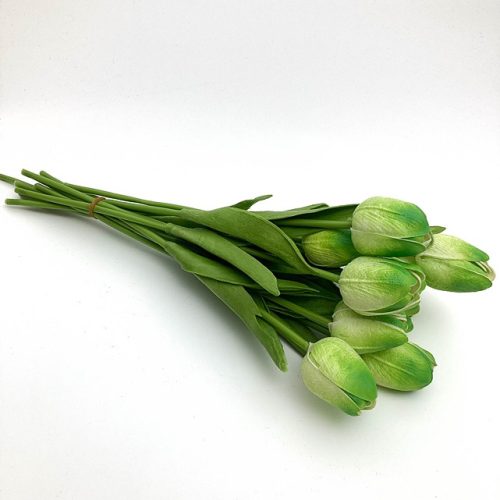 Felül zöld gumi tulipán