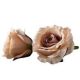 Hamvas barna rózsafej 9 cm - 5 db