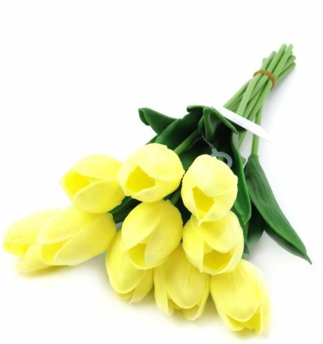 Krém-sárga tulipán 1 db