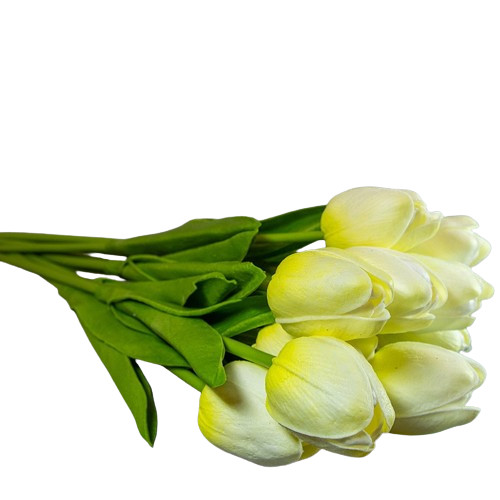 Sárga cirmos tulipán