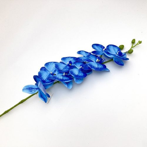 Kék cirmos orchidea 90 cm