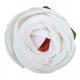 Boglárka virágfej, fehér, 5 cm