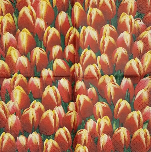 Szalvéta, tulipán, 25x25 cm (3)