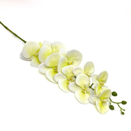 Vanília cirmos orchidea 90 cm